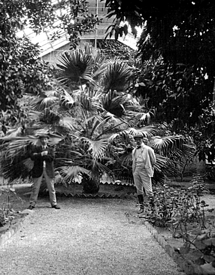 Besona växthus 1908 A